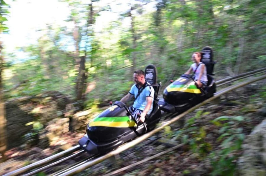 Jamaica Bobsled and Zip Line Adventure Tour - The Jamaica Bobsled Run: 1,000 Meters and Real Speed Control