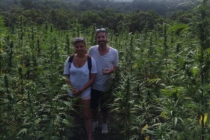 Jamaica Farm Private Dispensary Tour Montego Bay - Where the day starts: Hip Strip and Sam Sharpe Square