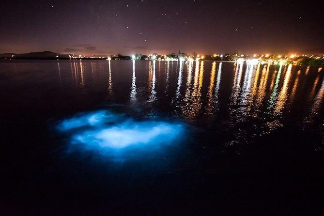 Jamaica Luminous Lagoon Private Tour with Transportation - Why the Luminous Lagoon Glows (and Why That’s the Whole Point)