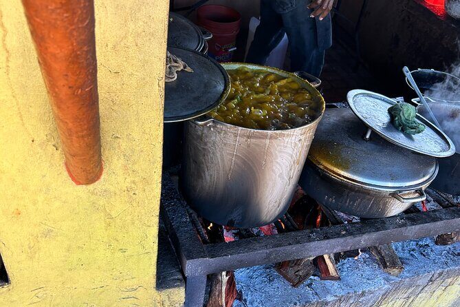 Jamaican Countryside Food Tasting Tour from Montego Bay - The Food Lineup: What You Actually Get to Eat