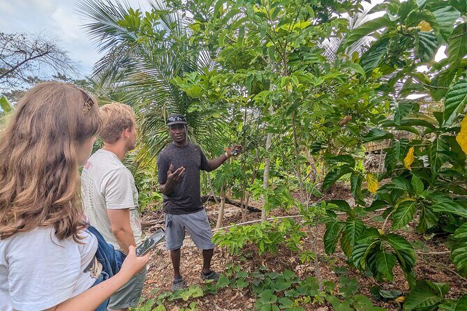 Jamaican Roots Tropical Farm Tour - Taste & Explore (Negril) 2hr - Price and what you actually get for $98