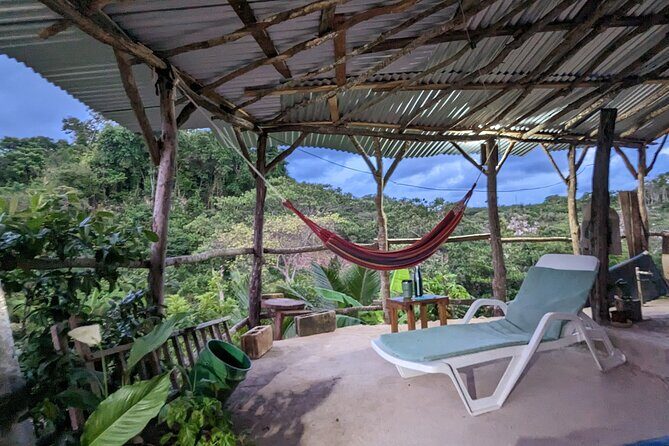 Jamaican Roots Tropical Farm Tour - Taste & Explore (Negril) 2hr - What you’ll actually learn: tropical fruit, flowering plants, and the farm logic