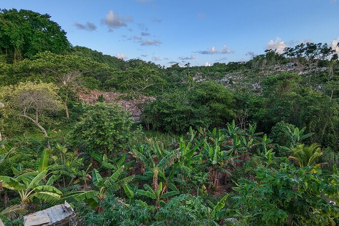 Jamaican Roots Tropical Farm Tour - Taste & Explore (Negril) 2hr - Optional farm-to-table dinner: when it’s worth the extra money