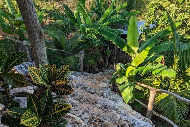 Jamaican Roots Tropical Farm Tour - Taste & Explore (Negril) 2hr - Getting there: pickup, small group size, and day-of basics