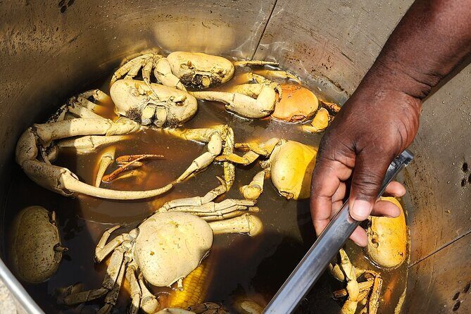 Jamaican Street Food and Rum Tasting Private Tour - Pickup, Private Groups, and How You’ll Move Around