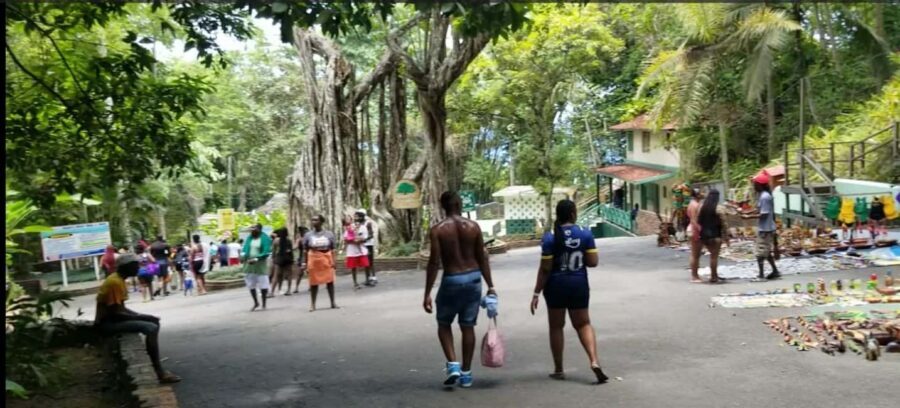 Jamaica's Dunn's River Falls & River Tubing Tour - Price and Value: What the $55 Really Turns Into