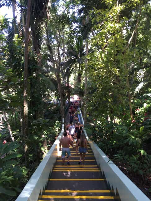 Jamaica's Dunn's River Falls & River Tubing Tour - Who This Tour Fits Best (and Who Might Want Another Option)