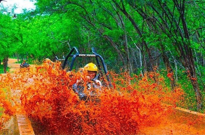 Jamwest ATV Off-Road Adventure & Zipline Combo in Negril - Price and value: what $169 buys (and what it doesn’t)