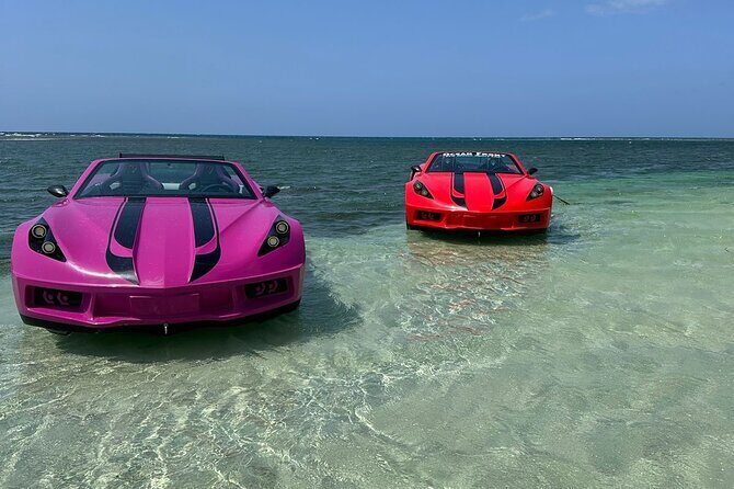 Jet Cars in Montego Bay and Private Transportation - The Jet Car Route: Speed, Turns, Coastline Views, and Photo Stops