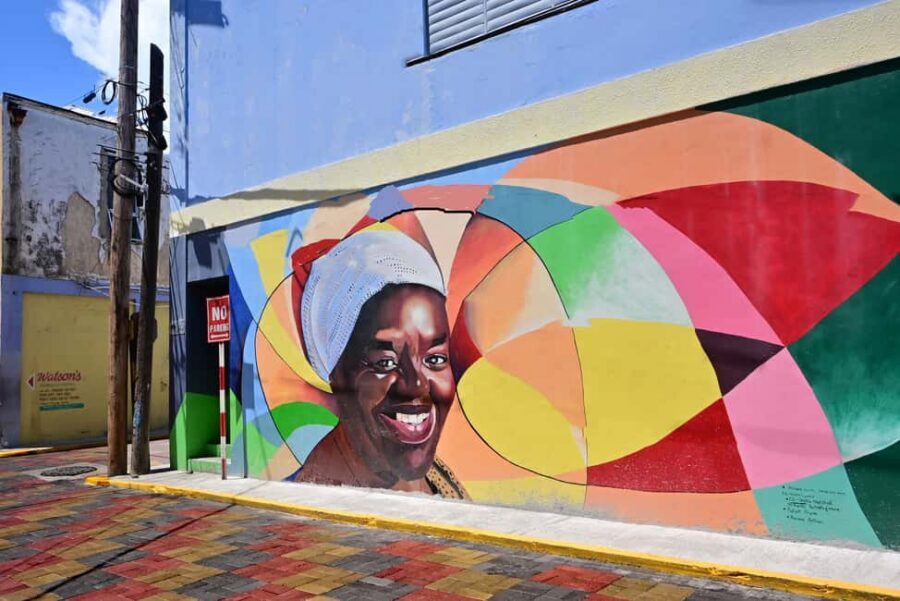 Kingston Creative: Mural Art Walking Tour - Who this tour suits best (and who should reconsider)