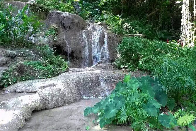 Konoko Falls and Tropical Garden Tour from Ocho Rios - Why Konoko Falls and the Tropical Garden feel like the right pairing
