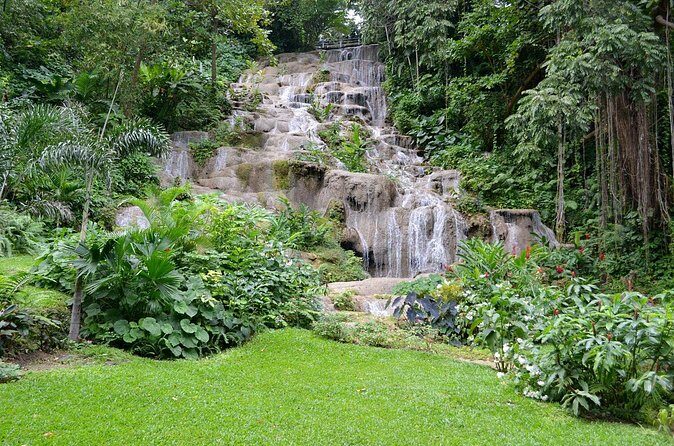 Konoko Falls and Tropical Garden Tour from Ocho Rios - Timing and logistics: a half-day plan that won’t chew up your whole trip