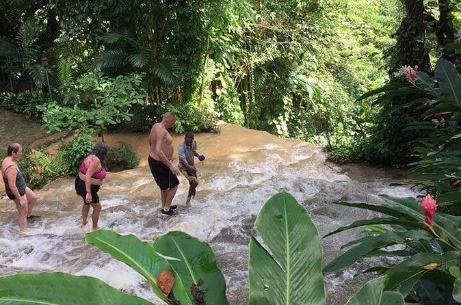 Konoko Falls and Tropical Garden Tour from Ocho Rios - Price and value: is $96.16 per person a fair deal?