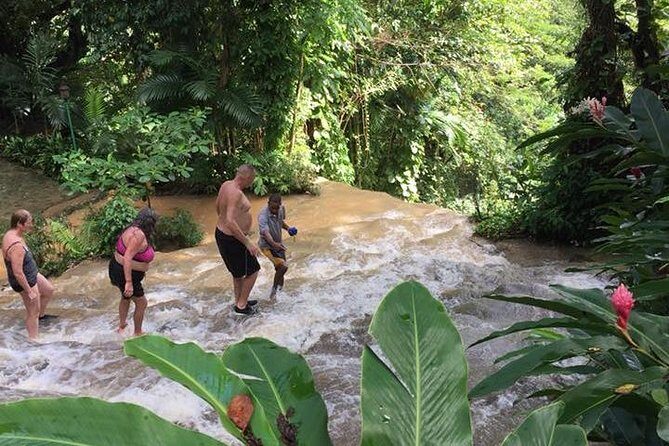 Konoko Falls and Tropical Garden Tour from Ocho Rios - Who this tour suits best (and who should reconsider)