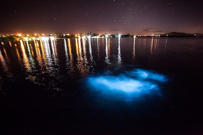 Luminous Lagoon Experience - The 75-minute night plan: boat ride, swim, and staying safe