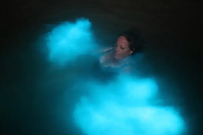 Luminous Lagoon Glow in the Dark Boat Tour from Montego Bay - Common hiccups: ticket times, crowds, and bug prevention
