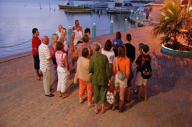 Luminous Lagoon Night Cruise From Montego Bay - Weather Rules: How to Plan Around a Natural Night Experience