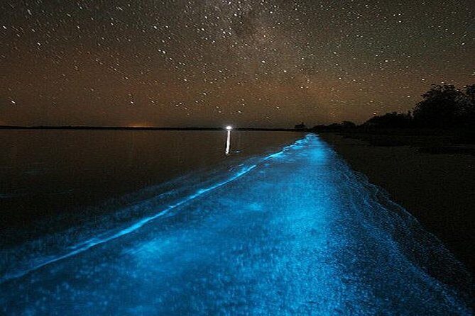 Luminous Lagoon Night-Time Tour from Montego Bay - The fire limbo show and Jamaican treats after the swim