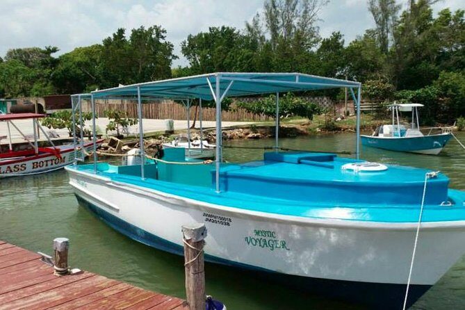 Luminous Lagoon Night-Time Tour from Montego Bay - Price and value: what $105 gets you (and what it doesn’t)