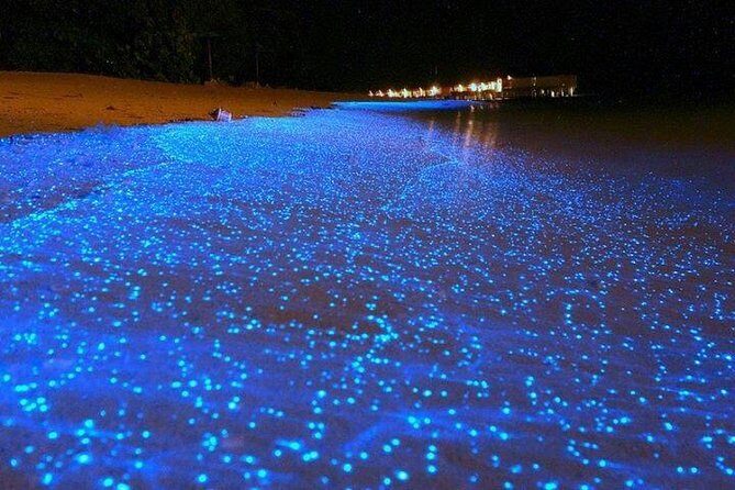 Luminous Lagoon Night-Time Tour from Montego Bay - Pickup, timing, and why the night plan makes sense