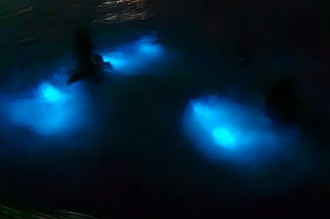 Luminous Lagoon Night Tour and Swim/Fire Dance from Montego Bay - Key Highlights Before You Go