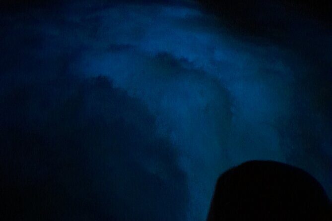 Luminous Lagoon Night Tour and Swim/Fire Dance from Montego Bay - Guides, Boats, and the Human Side of the Experience