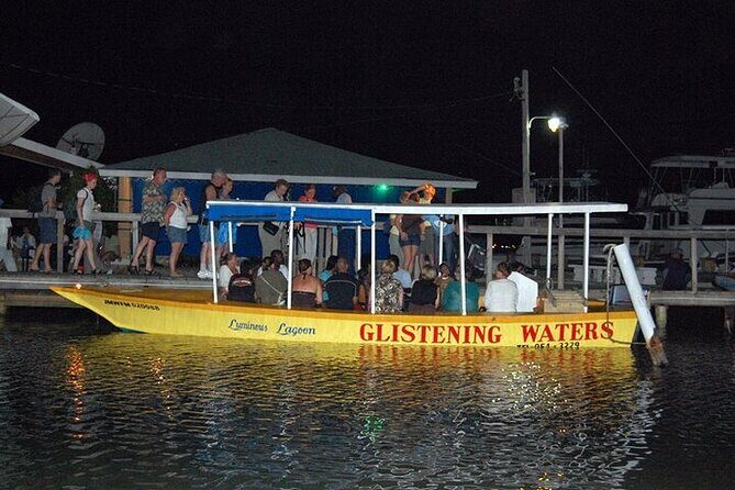 Luminous Lagoon Night Tour from Montego Bay - Who this tour suits best