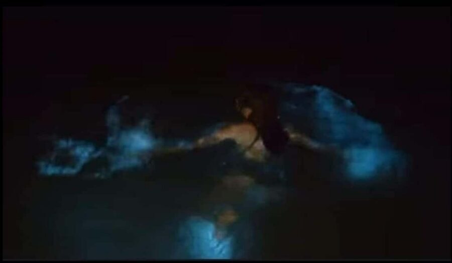 Luminous lagoon : Night Tour from Ocho Rios and Runaway Bay - Key things I’d circle before you go