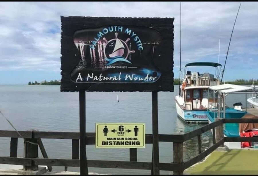 Luminous lagoon : Night Tour from Ocho Rios and Runaway Bay - What’s included (and what you’ll need to pay for yourself)