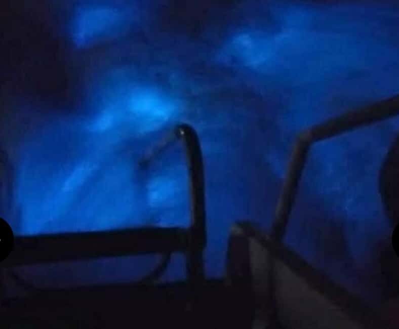 Luminous lagoon : Night Tour from Ocho Rios and Runaway Bay - Communication, guide style, and what to do if your group pacing feels off