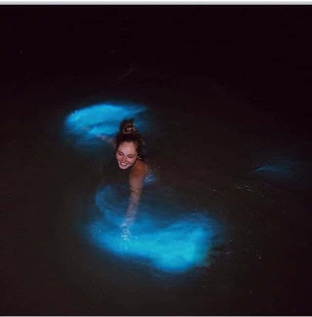 Luminous lagoon : Night Tour from Ocho Rios and Runaway Bay - Who should book this night tour (and who should choose something else)