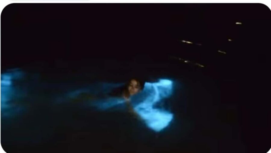 Luminous lagoon : Night Tour from Ocho Rios and Runaway Bay - The 3-hour plan from Ocho Rios and Runaway Bay (and where time can feel tight)