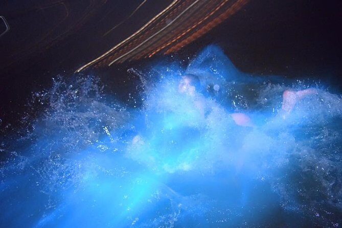Luminous Lagoon Night Tour from Ocho Rios - Marvyn’s Paradise Tours: the meeting point that keeps things simple