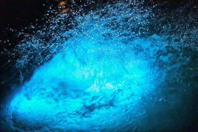 Luminous lagoon Night Tour Montego Bay - Price and value: Does $75 include enough to make it fair?