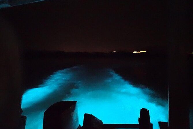 Luminous lagoon Night Tour Montego Bay - Timing and logistics: Why the 2–3 hour format works