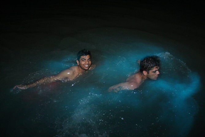 Luminous Lagoon Private Tour - The Glow Explained: Micro-Organisms in Negril’s Waters