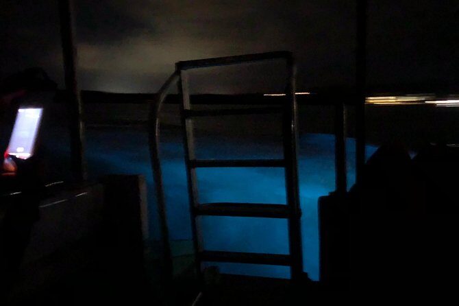 Luminous Lagoon Private Tour - Price Break-Down: What Your $102.57 Covers vs the $25 Cash Admission