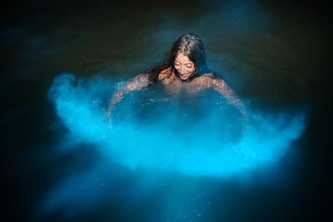Luminous Lagoon Private Tour - Private Chauffeur Pickup: No Night Driving From Your Resort