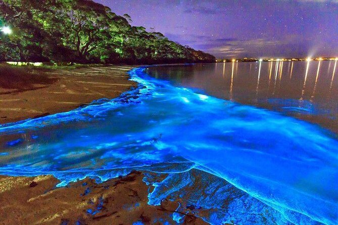 Luminous Lagoon Small Group Tour from Montego Bay - Key Points You’ll Care About
