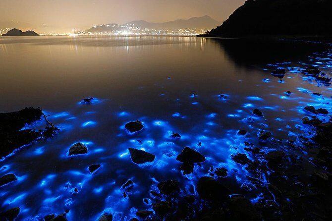 Luminous Lagoon Small Group Tour from Ocho Rios - Key things to know before you go