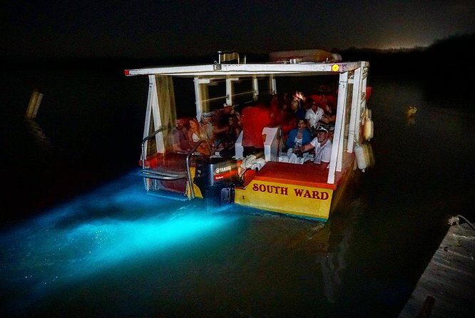 Luminous Lagoon Small Group Tour from Ocho Rios - Mobile tickets, start times, and cruise-ship timing