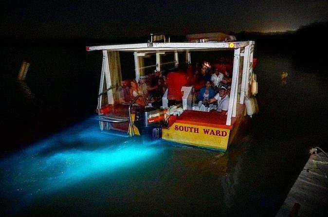 Luminous Lagoon Small Group Tour from Ocho Rios - What to bring for a better glowing-water experience