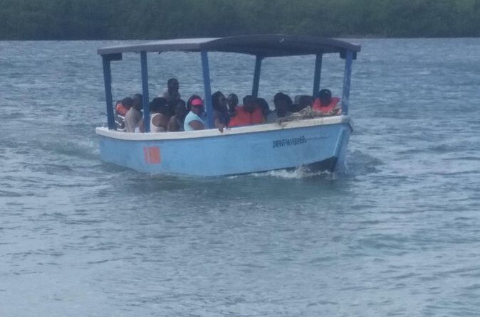 Luminous Lagoon Tour from Montego Bay & Rosehall Hotels - Price and Logistics: What You Pay $74.67 For (and What You Don’t)