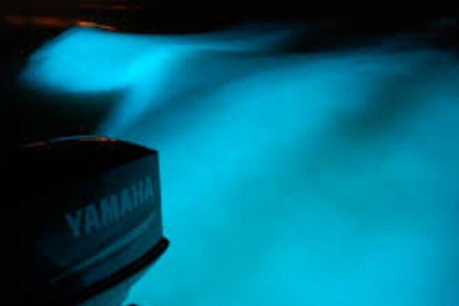 Magical Luminous Lagoon Private Tour - The swim moment: getting the most glow without forcing it