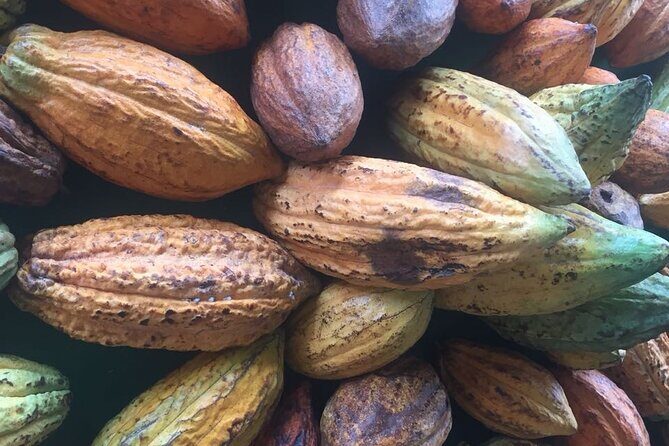 Make your own Bean to Bar Chocolate Factory Tour - Vegan chocolate, and how to think about the taste shift