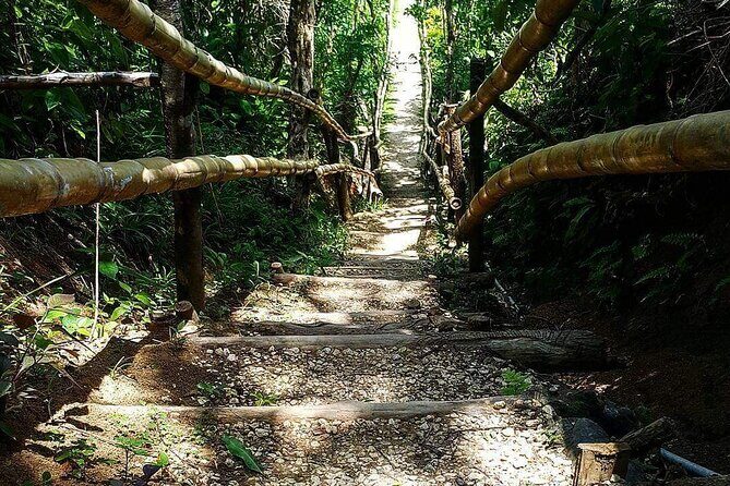 Mayfield Falls, Blue Hole & Rick's Café Tours/Weed Farm option - Getting there from Montego Bay: the A/C pickup that keeps the day easy