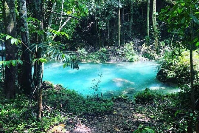 Mayfield Falls, Blue Hole & Rick's Café Tours/Weed Farm option - Rick’s Café in Negril: bar-and-restaurant fame with your own pace