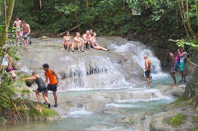 Mayfield Falls Private Tour - Price and Value: Is $150.08 Per Person Fair?