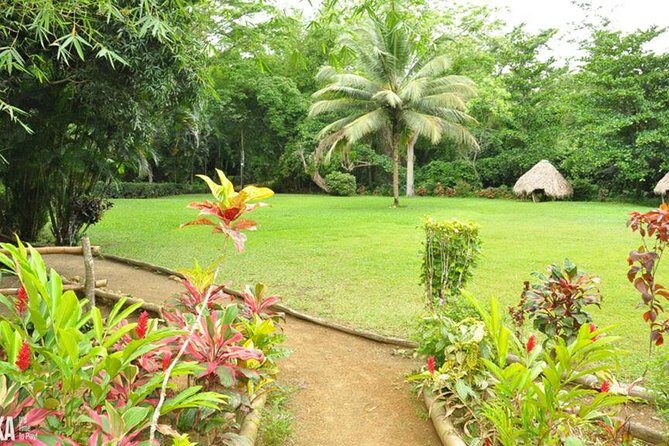 Mayfield Falls Private Tour - Walking Through a Sugar Cane Plantation to Get to the Falls