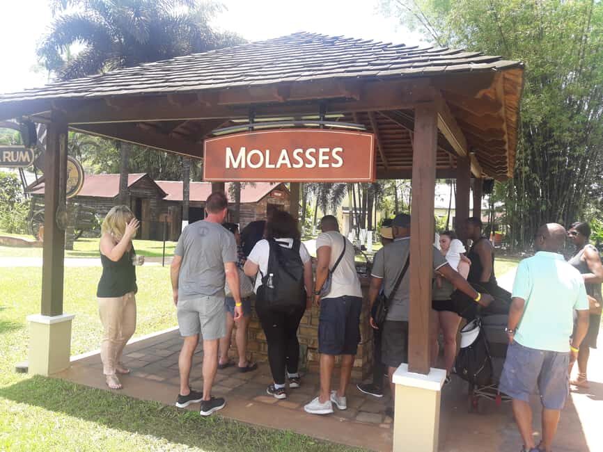 Montego Bay: 8-Hour Appleton & Pelican Bar Return Transfer - From Montego Bay pickup to the Appleton Estate drive
